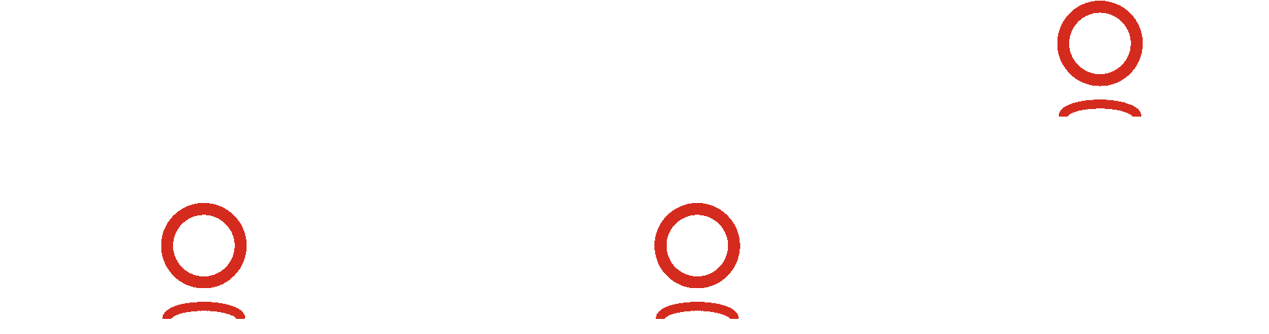Preservation Solutions LLC
